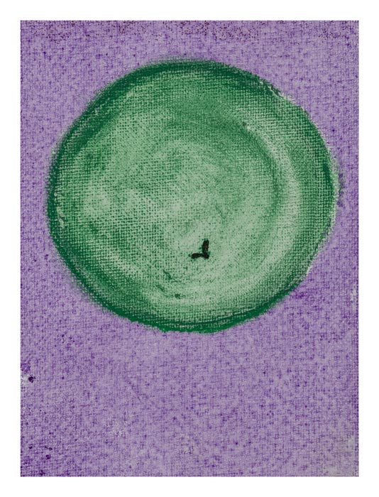 Vogel in groene cirkel op paarse achtergrond 10 op 15 cm | Te Koop